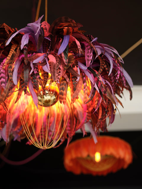 The Amaryllis