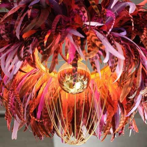 The Amaryllis