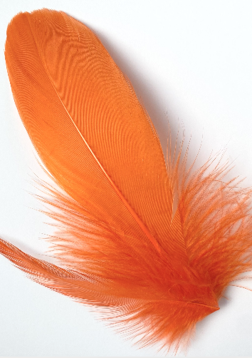 Orange Feather Lampshade