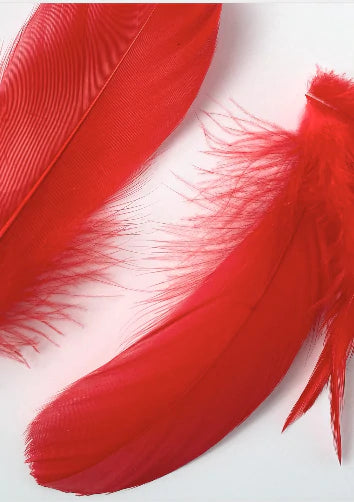 Red Feather Lampshade