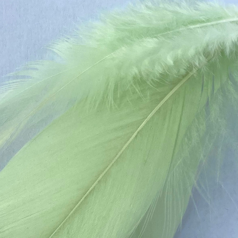 Eau de nil pale green feather lamp shade