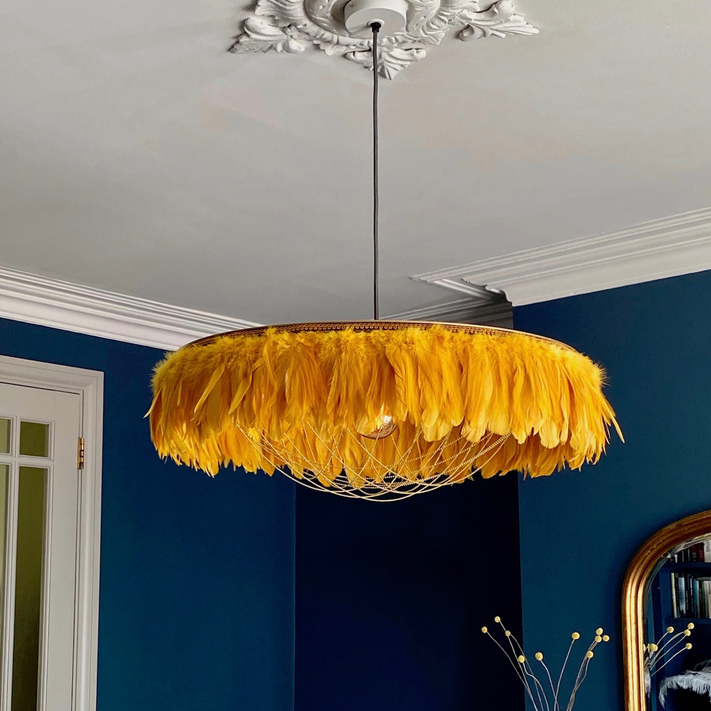 Ostrich feather light shade deals