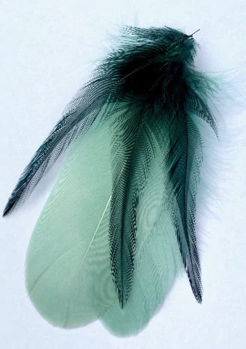 Pale Sage and Bottle Green Feather Lampshade