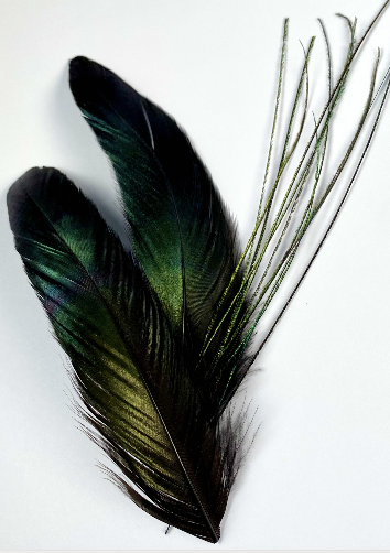 Black Feather Lampshade