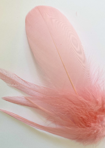 Pink Feather Lampshade