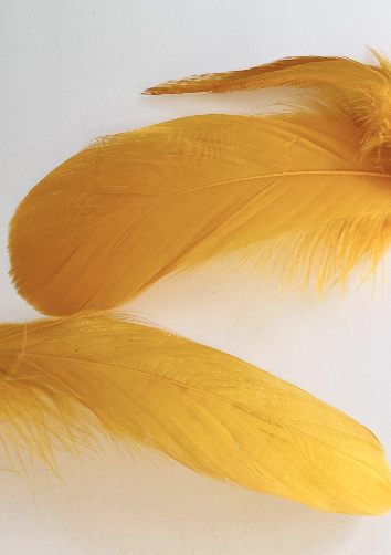 Yellow Feather Lampshade
