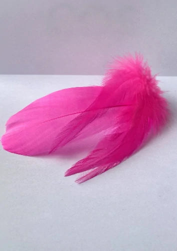 Shocking Azalea Pink Feather Lampshade