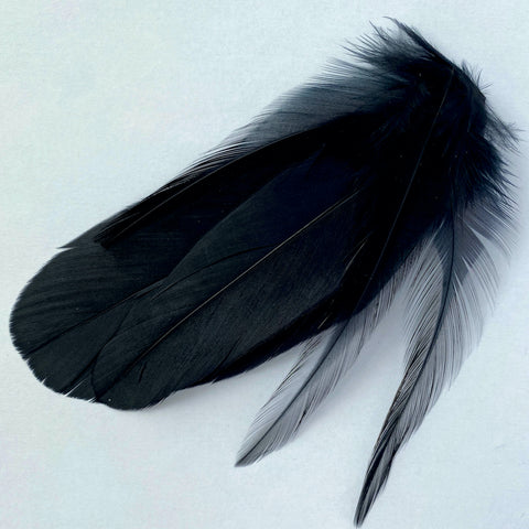 Cassidy Flare - Black - Feather and Noise