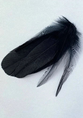 Sleek Black Feather Lampshade